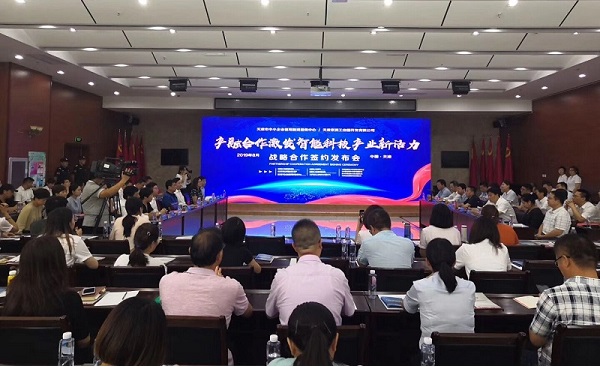 星空平台,星空（中国）一站式服务平台科技喜获千万级担保授信